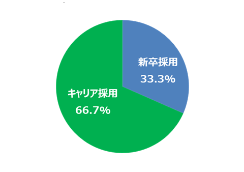 新卒・キャリア採用比率